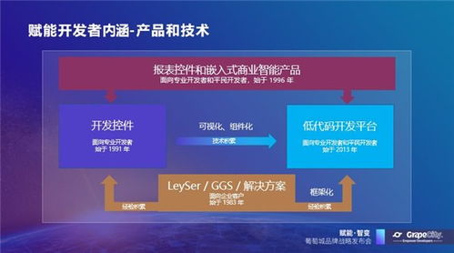 葡萄城发布软件开发业务新使命，赋能开发者创新与成长